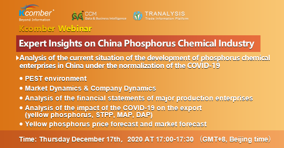 Expert Insights on China Phosphorus Chemical Industry