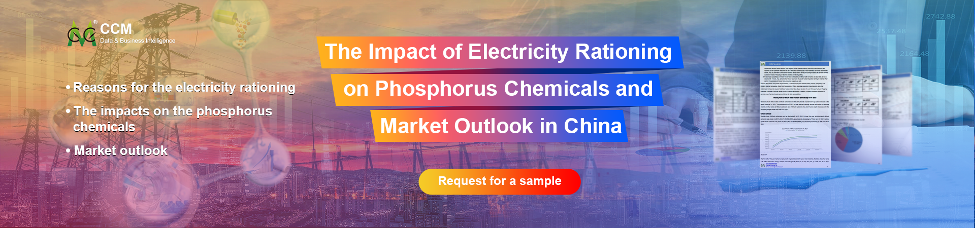 The Impact of Electricity Rationing on Phosphorus Chemicals