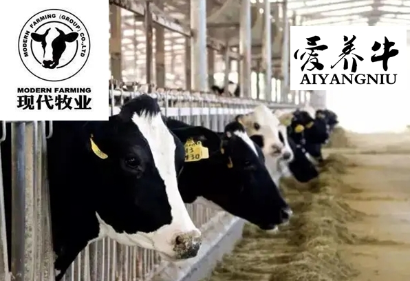 Modern Farming plans to acquire a 75 percent stake in Ai Yang Niu Technology for RMB 288 million
