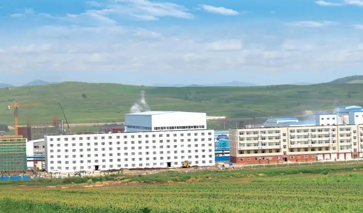 Northeast Fufeng's 500,000 t per year amino acid and ancillary facilities project