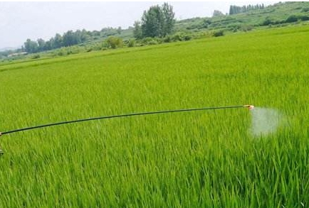 Jiangsu to reduce utilisation of pesticide and fertiliser