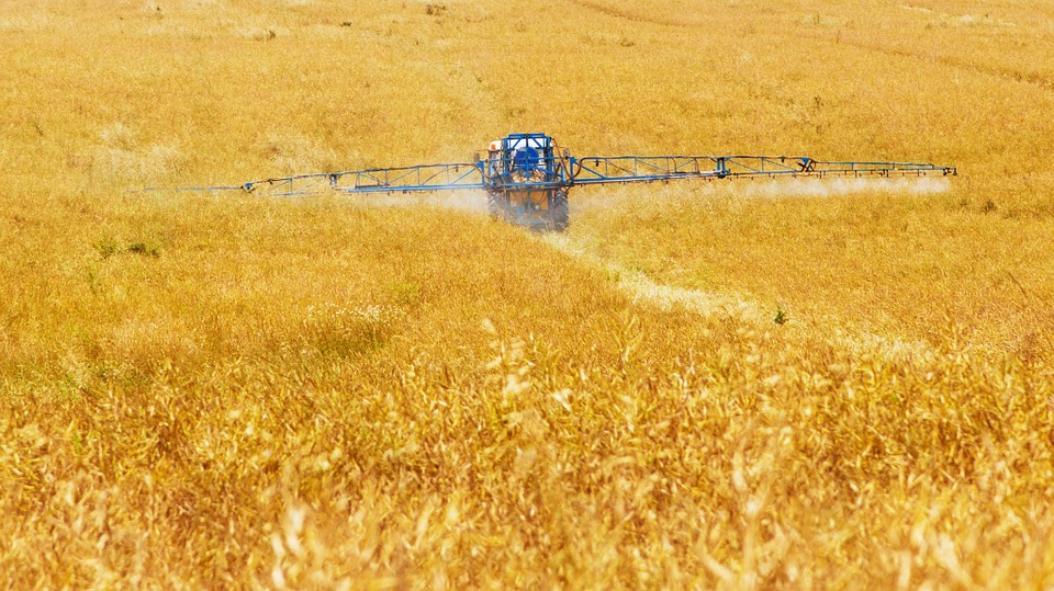 China’s Ministry of Agriculture and Rural Affairs designates corn as a key crop for this year's economic plan