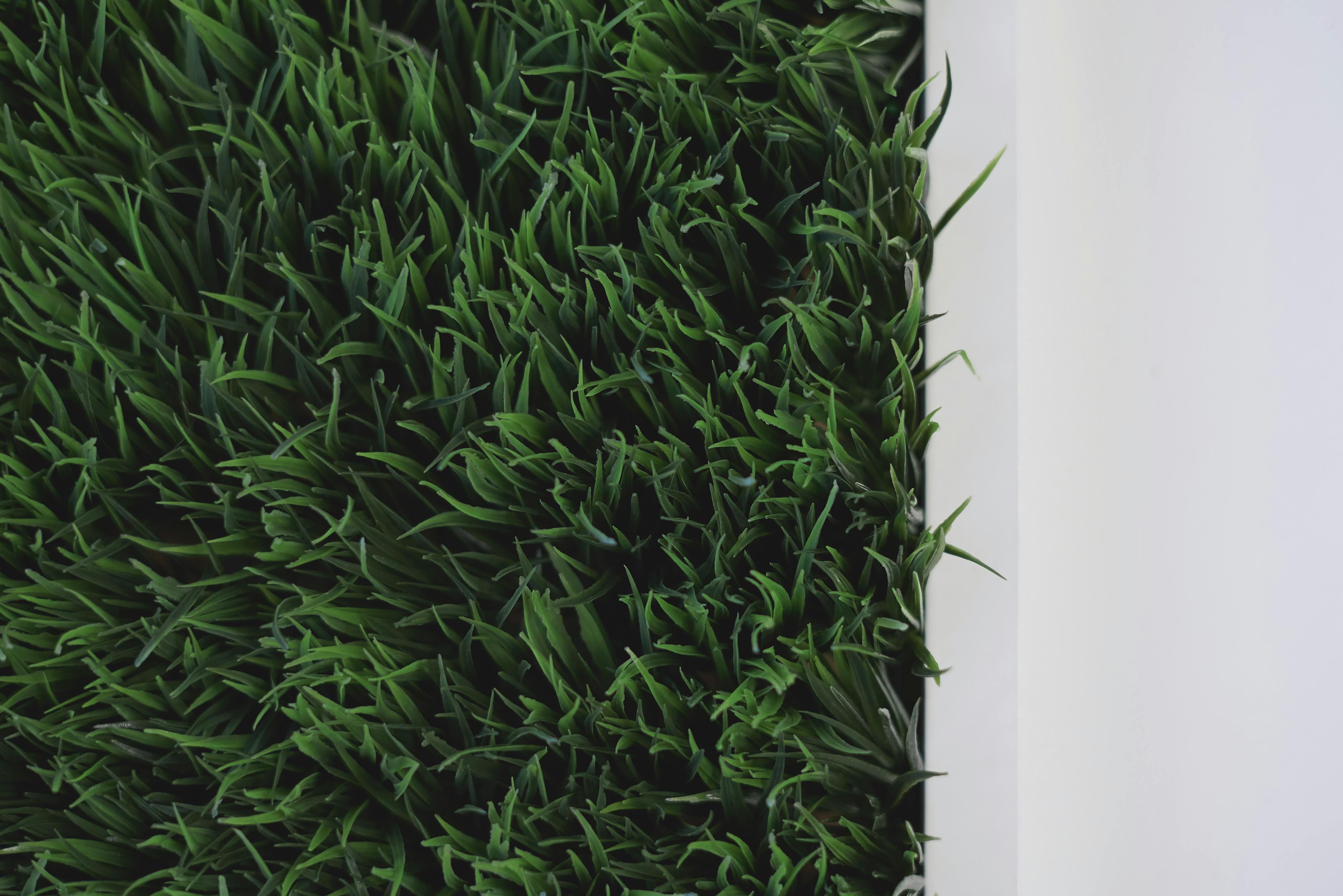 GreenLight Biosciences Pioneers RNAi Herbicides: A Non-GMO Revolution in Weed Control