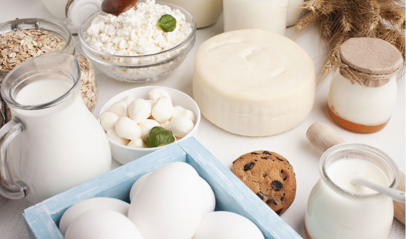 China Dairy’s Dual Trends: Premiumization & Plant-Based Rise Amid Import Growth