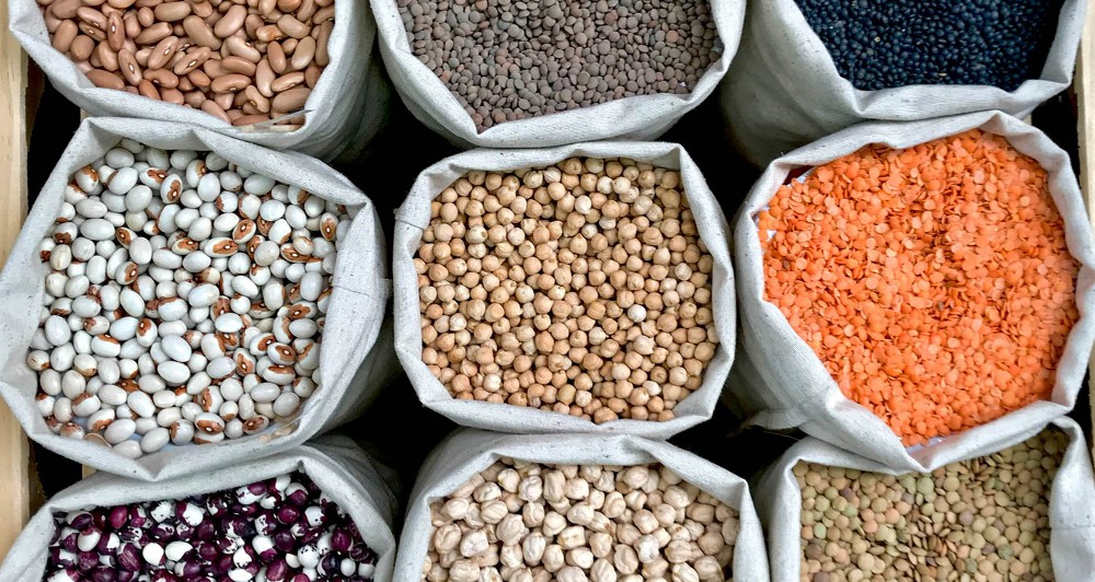 China's Seed Industry Showcases Technical Leaps, Global Expansion & Crop-specific Innovations