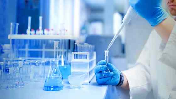 Lead:As of February 2025, the global agrochemical sector — including fertilizer and crop protection segments — is navigating a nuanced transition period ahead of the Northern Hemisphere spring season. Markets remain sensitive to energy and feedstock cost fluctuations, inventory adjustments from late news img